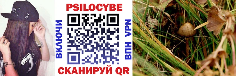 ссылка на мегу зеркало Могоча Псилоцибиновые грибы Psilocybe